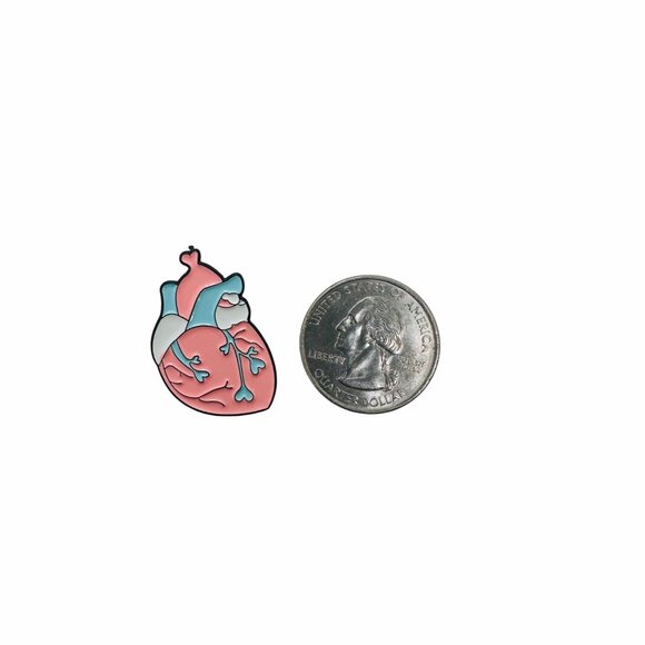 ✨Anatomical Human Heart Shape Enamel Pin Brooch  Pink Blue Trans Heart Pride - Picture 5 of 6
